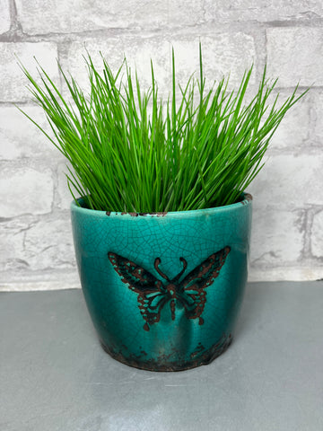 Ceramic Butterfly Pot