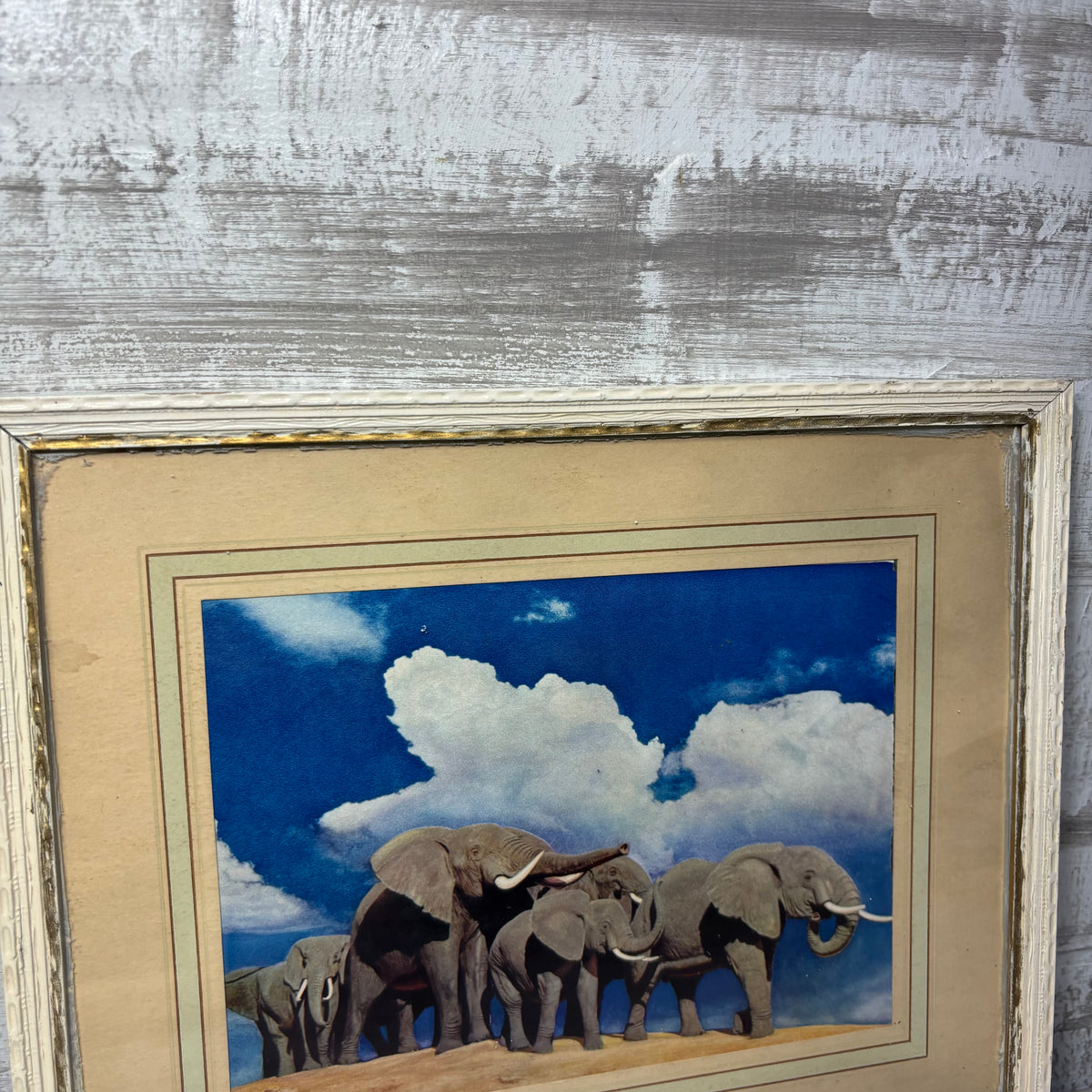 Vintage Matted Elephant Family Framed Photo