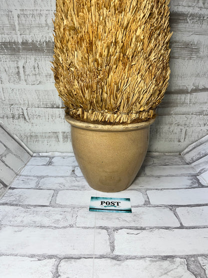 Straw Tree Shrub In Clay Planter