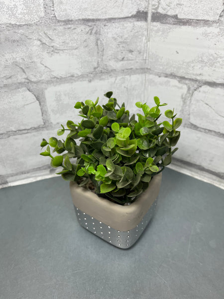 Faux Plant In Ceramic Square Pot