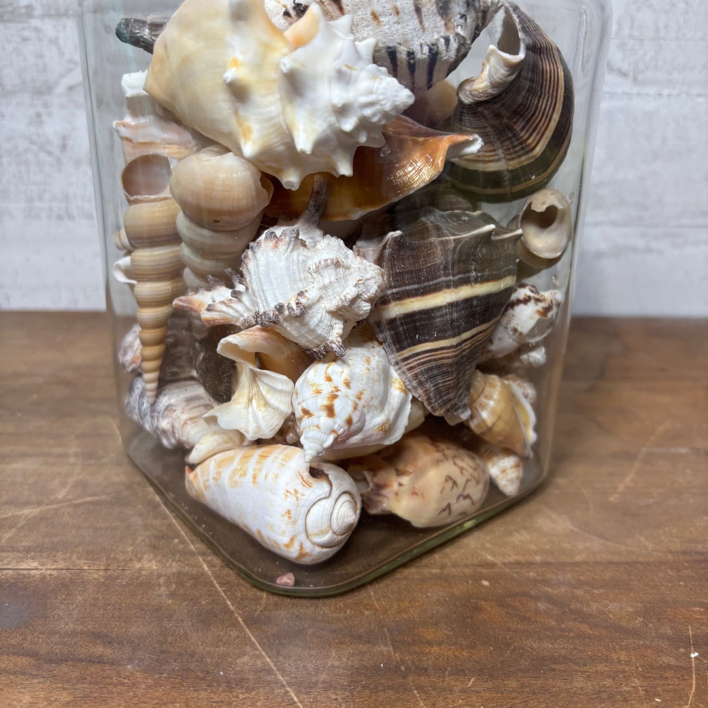 Glass Jar Full Of Seashells