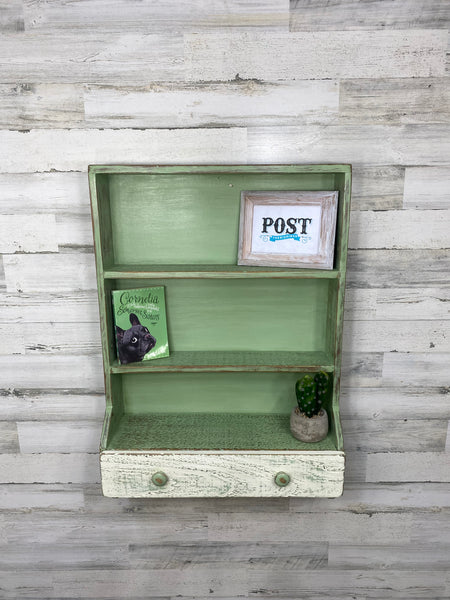 Green Rustic Wood Hanging Shelf