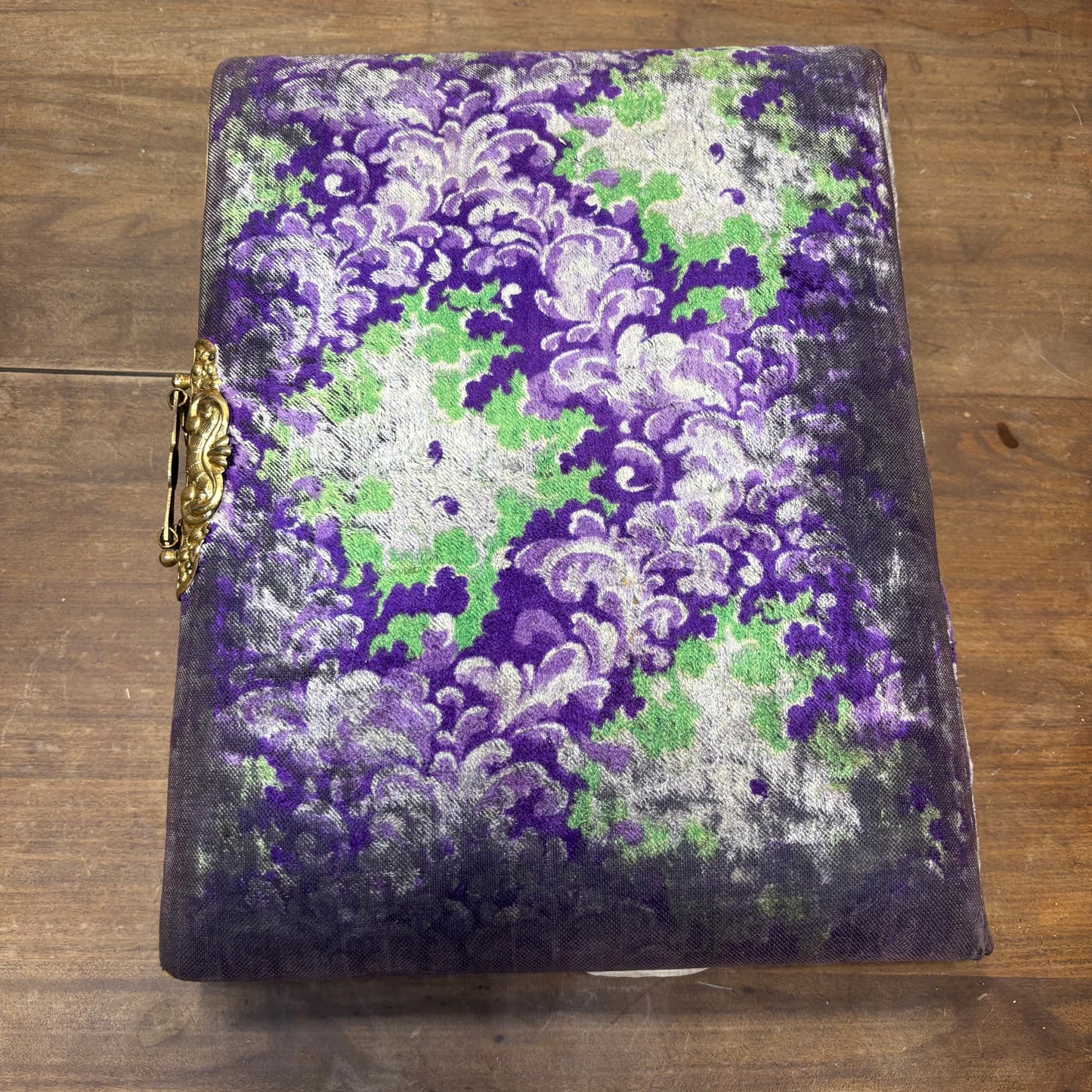 Antique Victorian Celluloid Photo Album