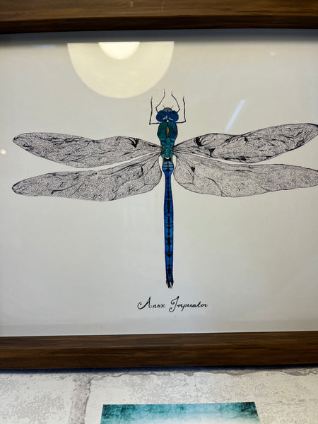 Dragonfly Framed Art