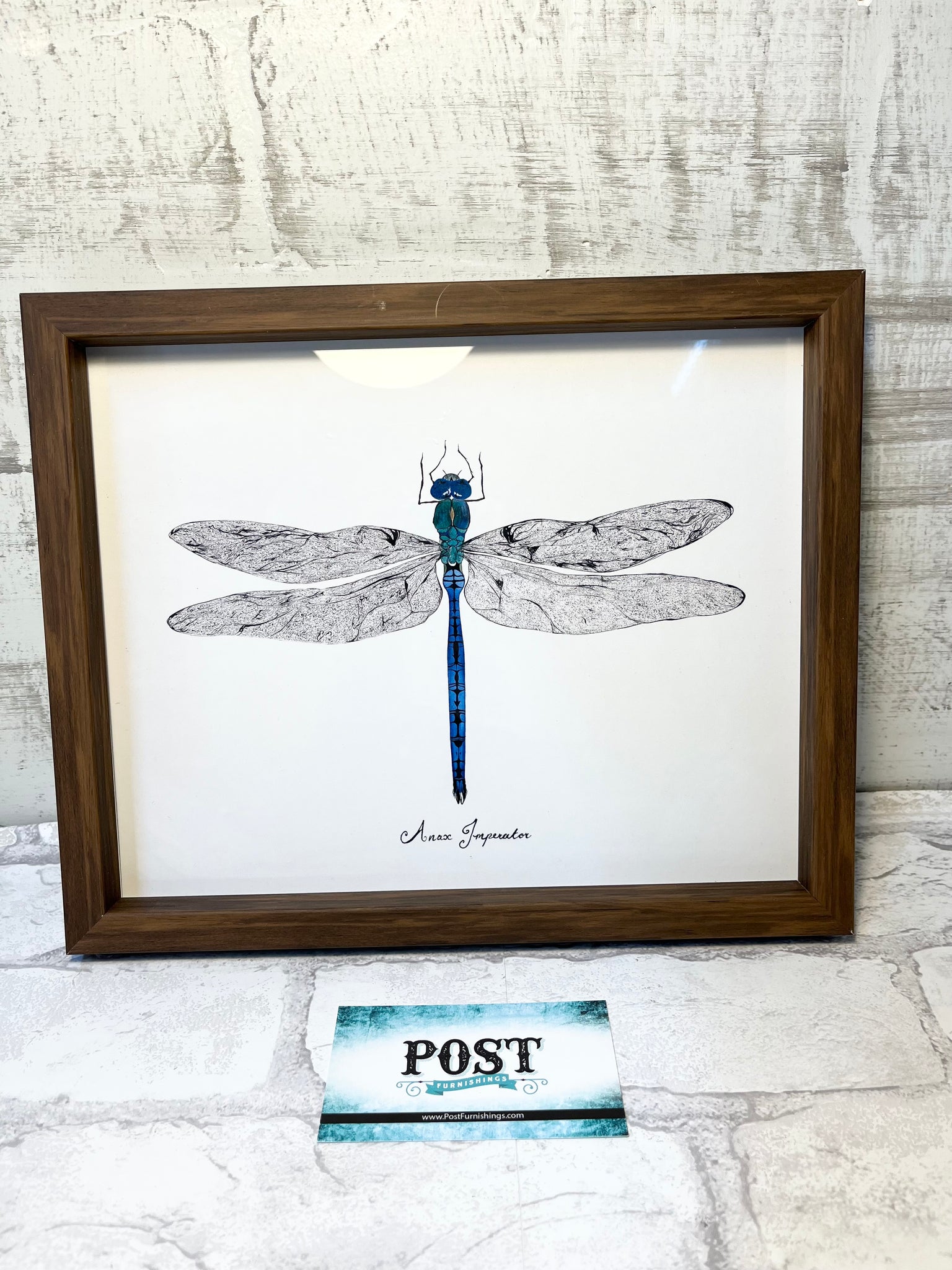 Dragonfly Framed Art