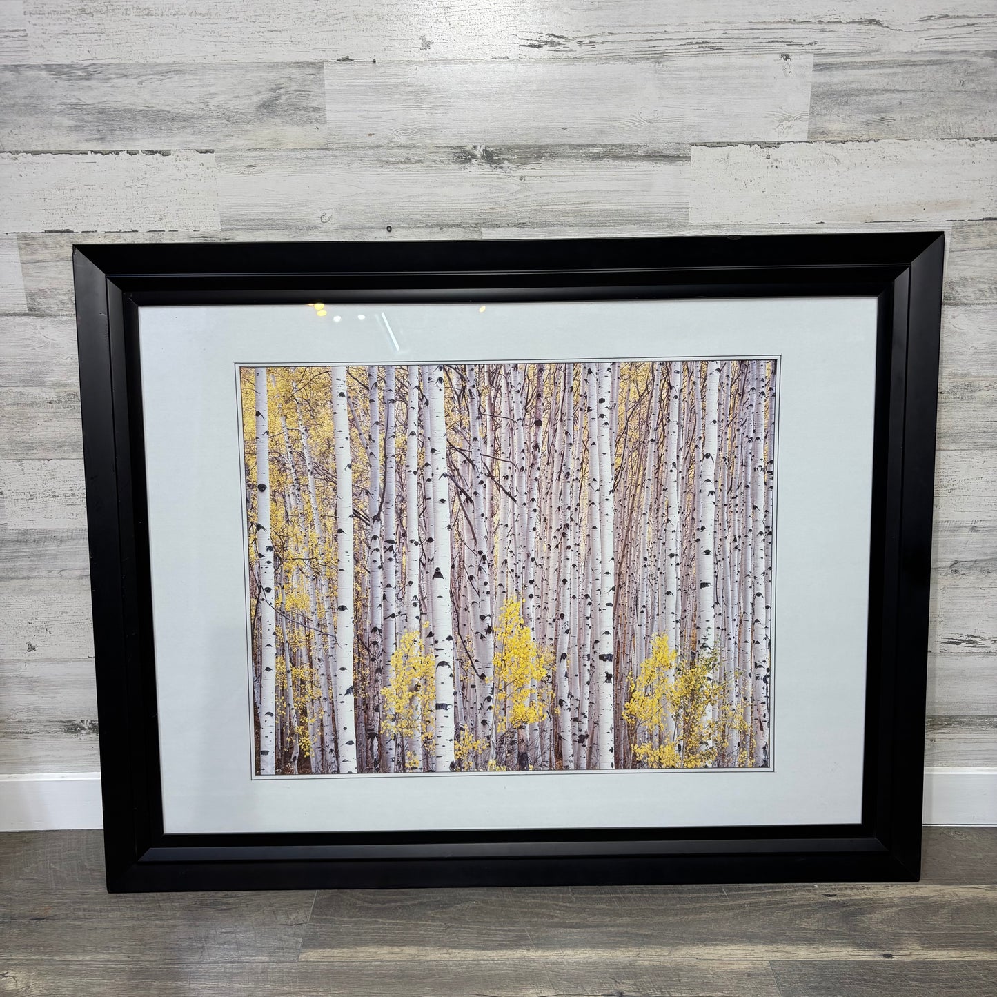 Matted Framed Aspen Tree Art