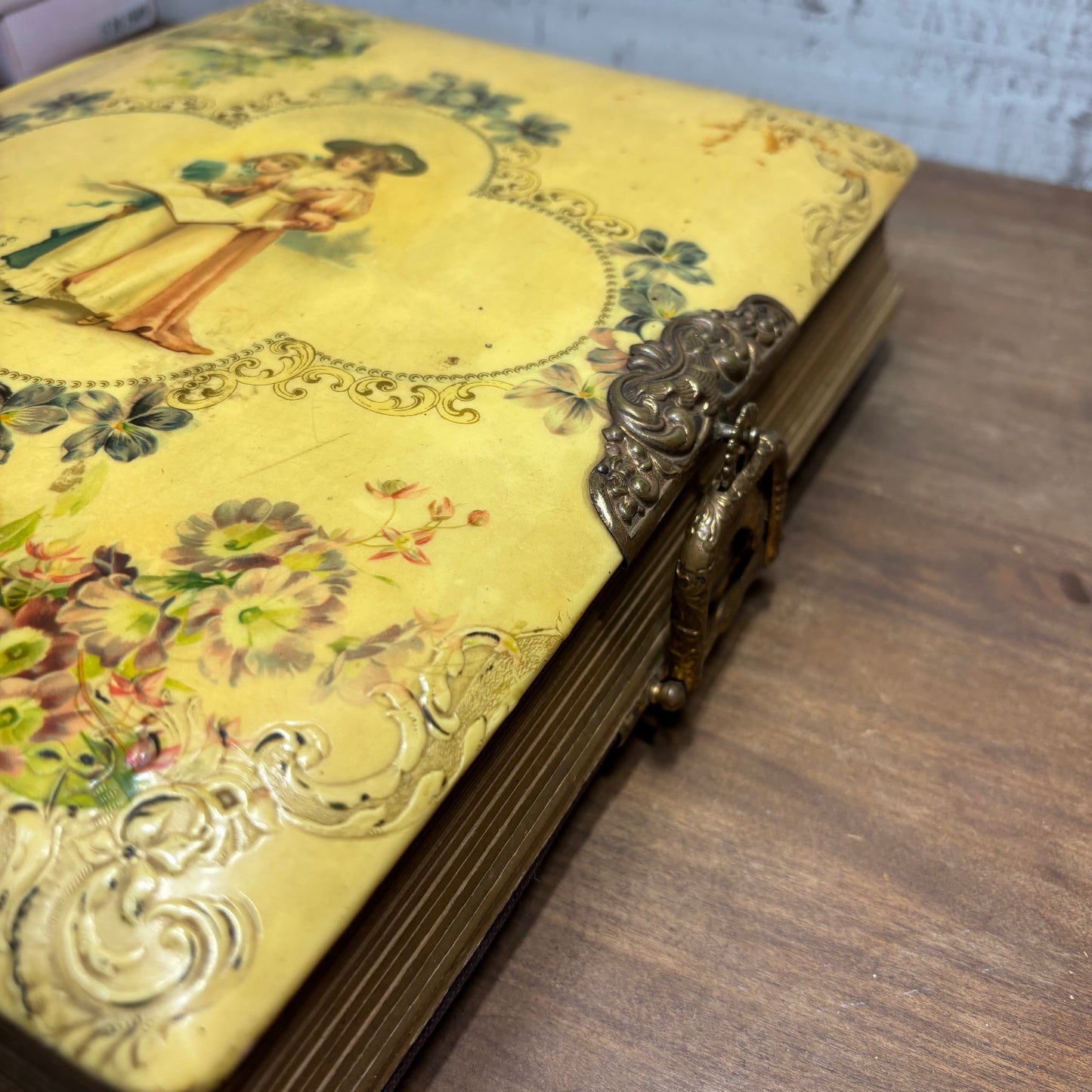 Antique Victorian Celluloid Photo Album