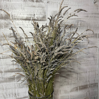 Dried Lavender Bunch In Vase