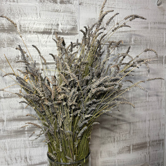 Dried Lavender Bunch In Vase