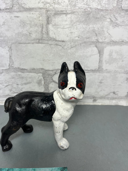 Cast Iron Boston Terrier Dog