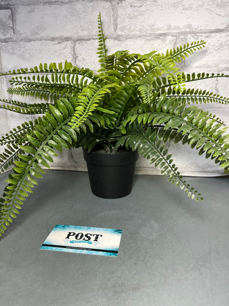 Faux Fern Plant