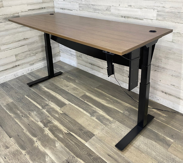 Professional Adjustable Desk Sit/Stand