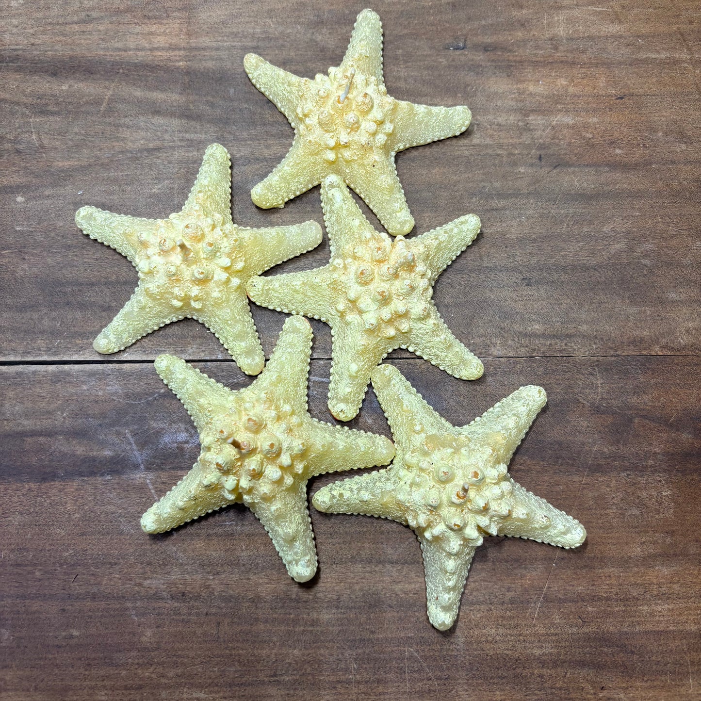 Nautical Knobby Horned Starfish Candles Set of 5