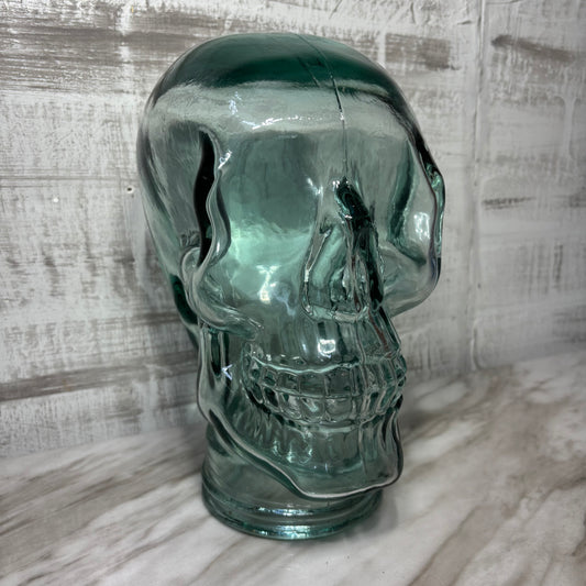 Clear Glass Skull Mannequin Head Display