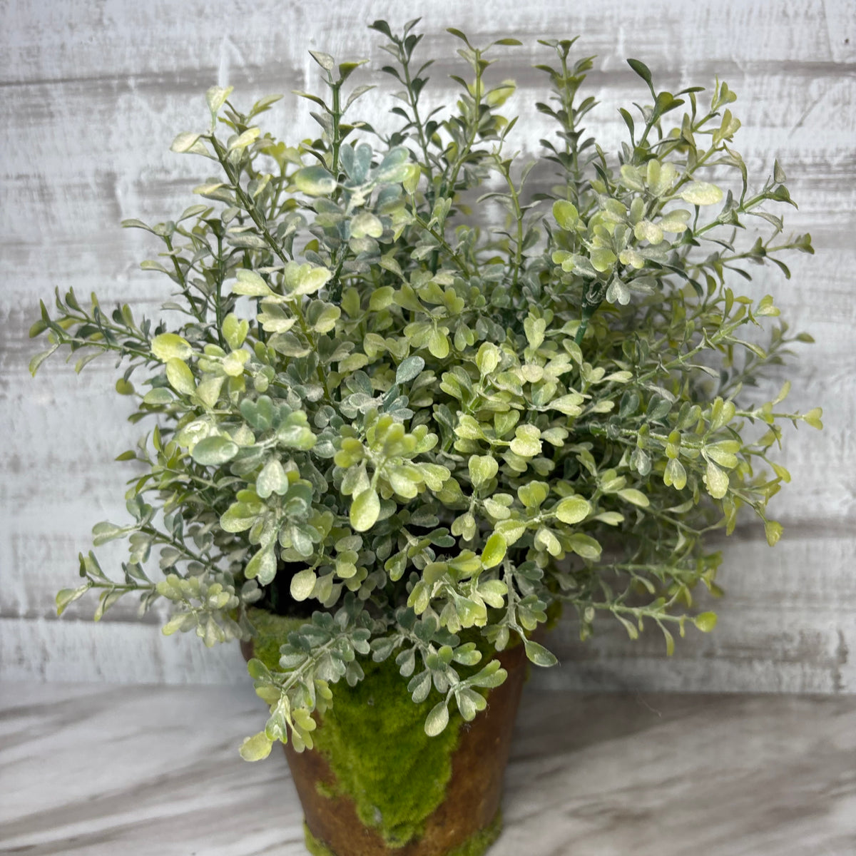 Faux Mossy Potted Greenery