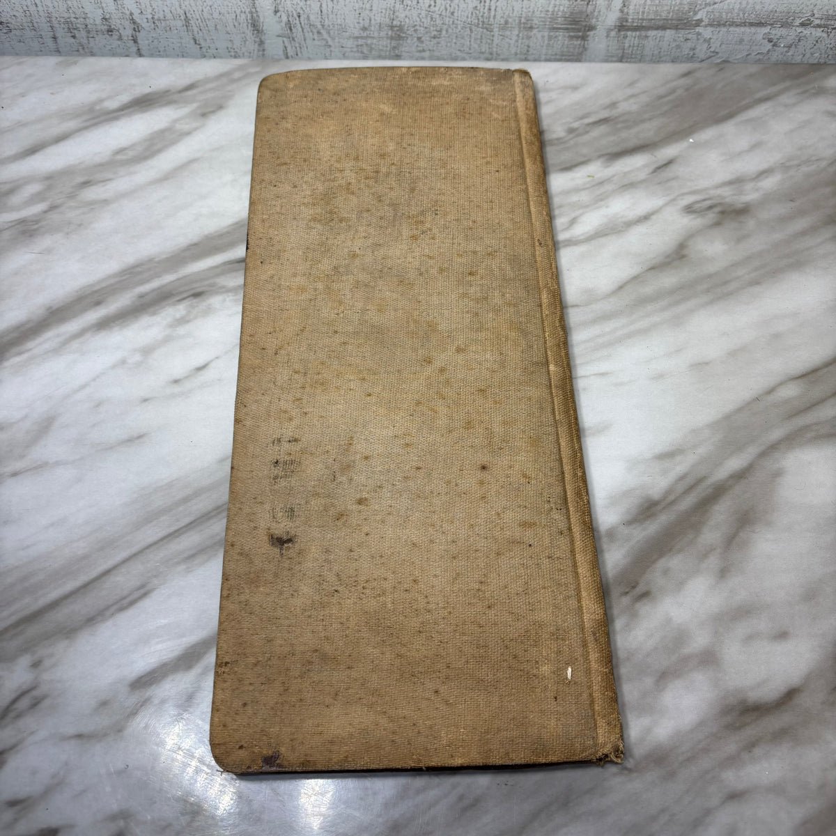 Antique Rare Daybook Ledger Records Sales
