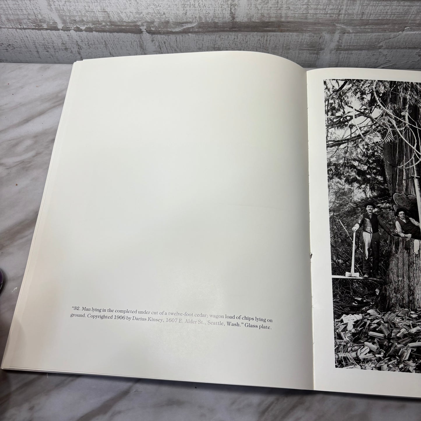 Kinsey Photographer: A Half Century of Negatives Book