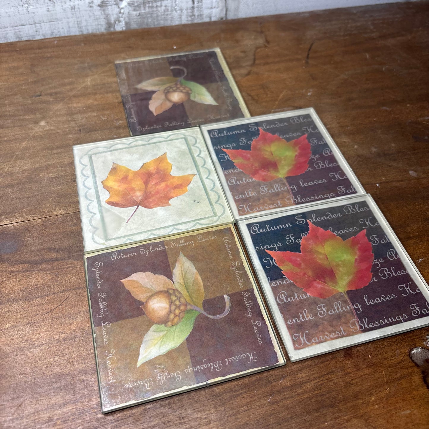 Glass Fall Leaf Coasters Set Of 5
