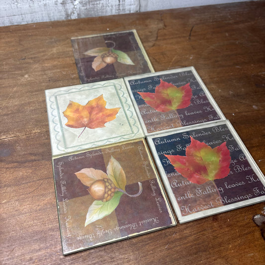 Glass Fall Leaf Coasters Set Of 5