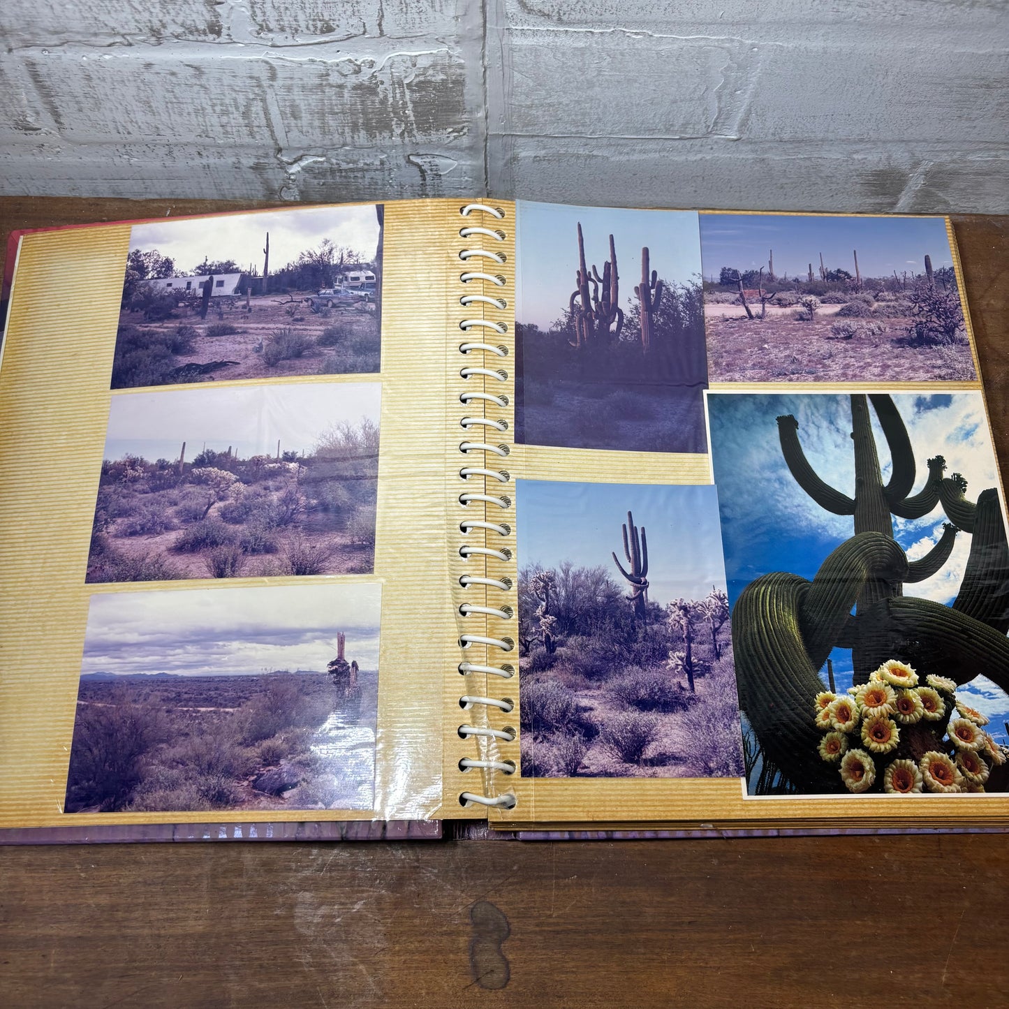 Vintage Sunset Marsh Photo Album