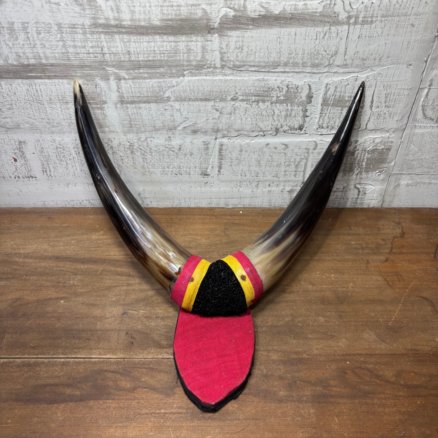 Decorative Mounted Horns