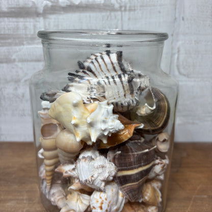 Glass Jar Full Of Seashells