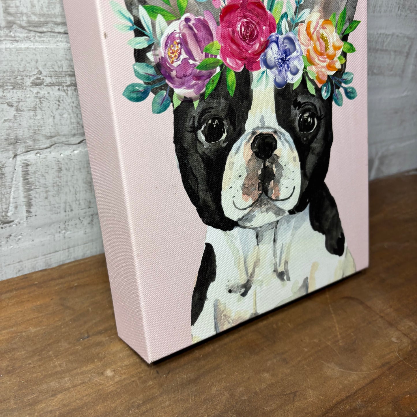 Boston Terrier / French Bulldog Canvas Print
