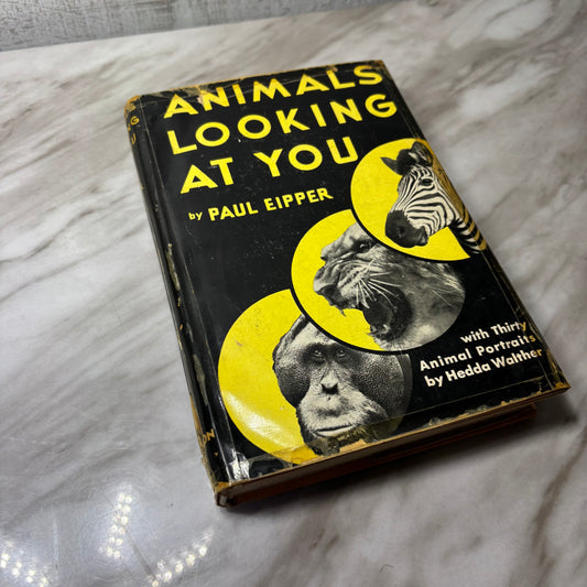 Vintage Animals Looking At You Hardcover Book