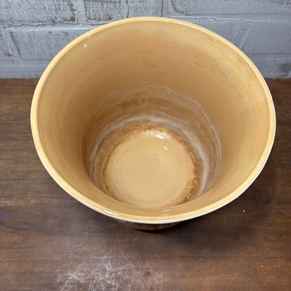 Terracotta Westwood Beige Pot