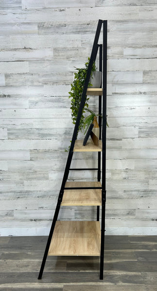 Modern Ladder Shelf