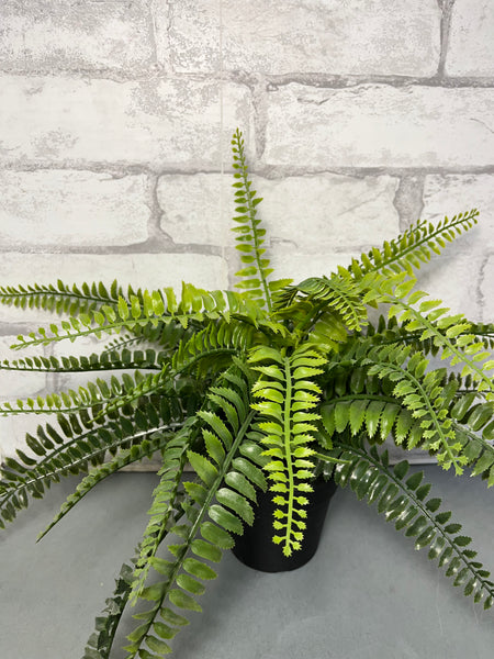 Faux Fern Plant