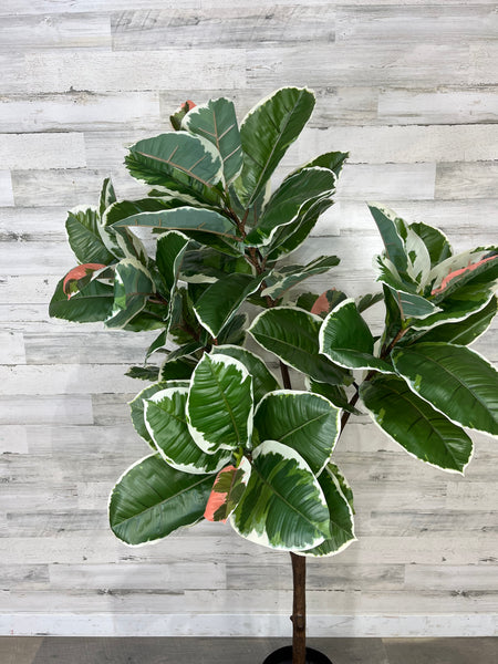 Faux Fiddle Leaf Tree