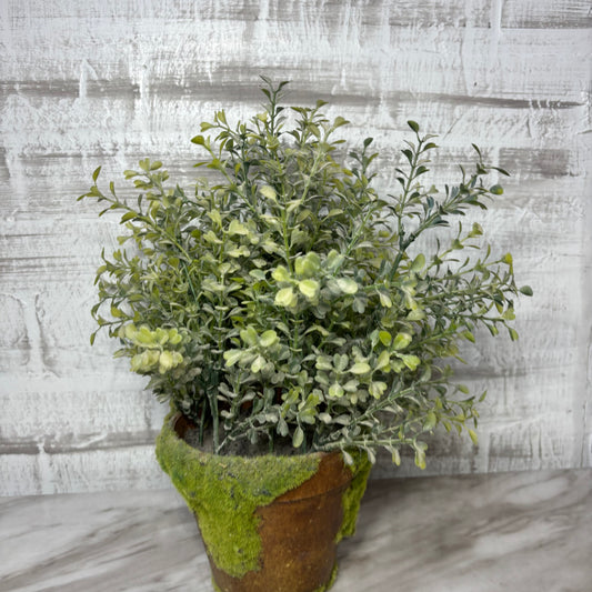 Faux Greenery Arrangement in Rustic Moss Wrapped Pot