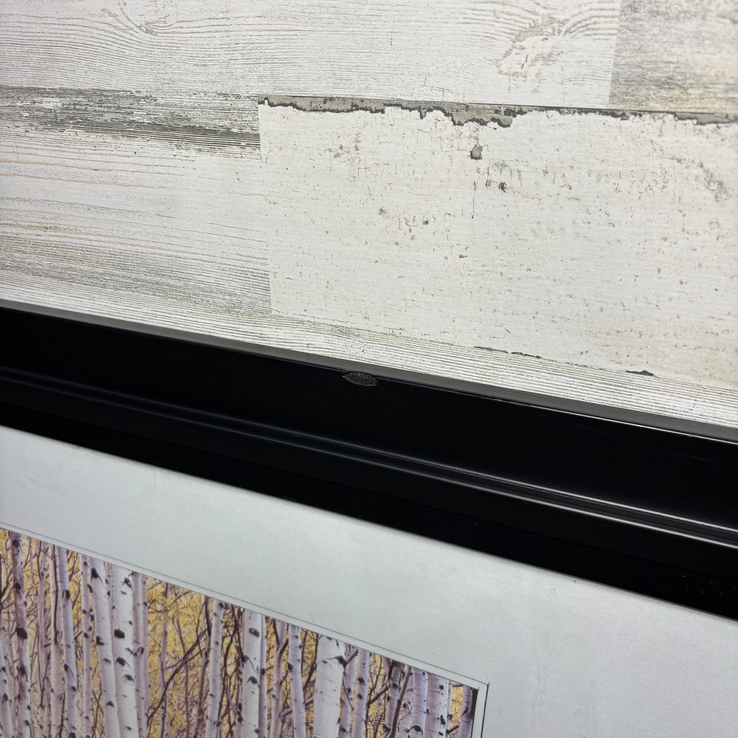 Matted Framed Aspen Tree Art