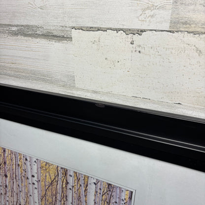 Matted Framed Aspen Tree Art