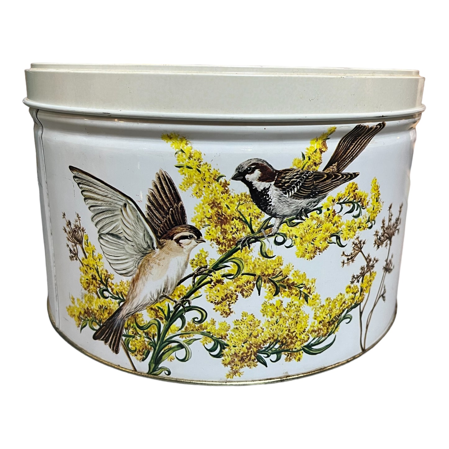 Vintage Decorative Feathered Friends Storage Tin