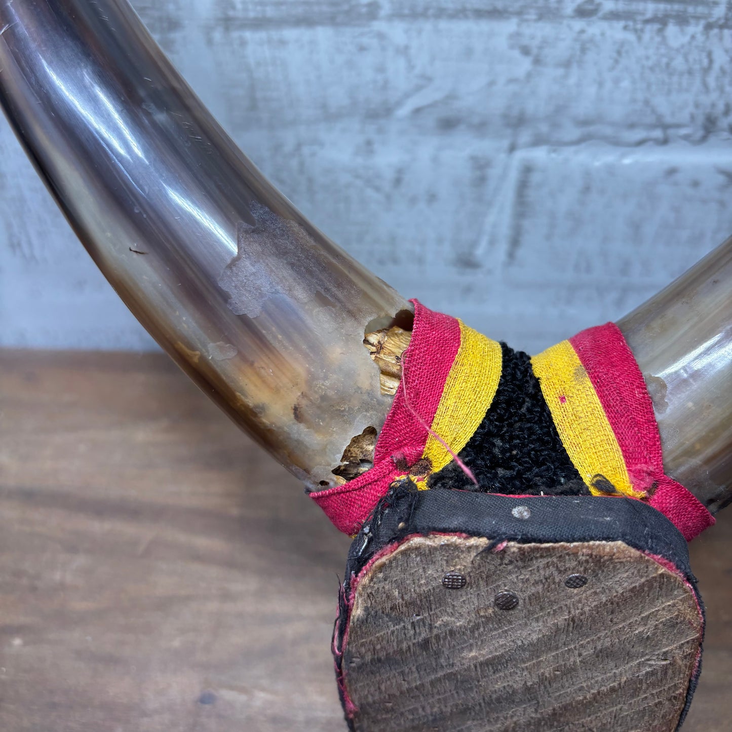 Decorative Mounted Horns