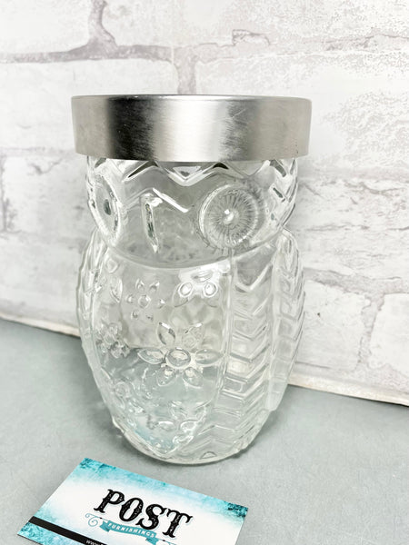 Owl Canister Glass Jar W/ Silver Screw On Lid