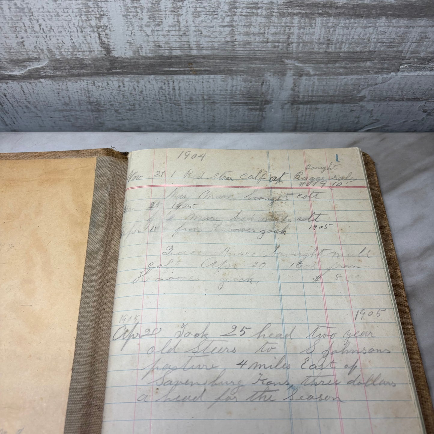 Antique Rare Daybook Ledger Records Sales