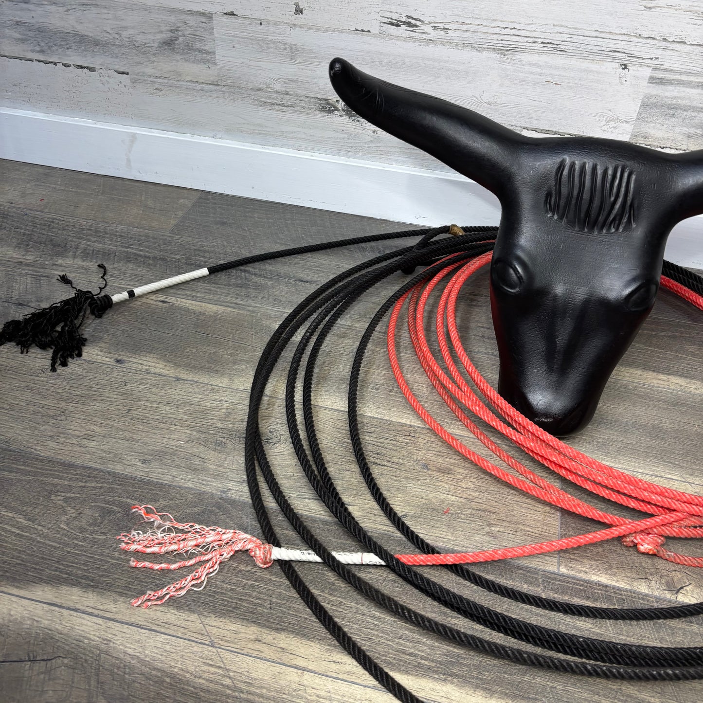 Steer Head Dummy Set W/ Rope