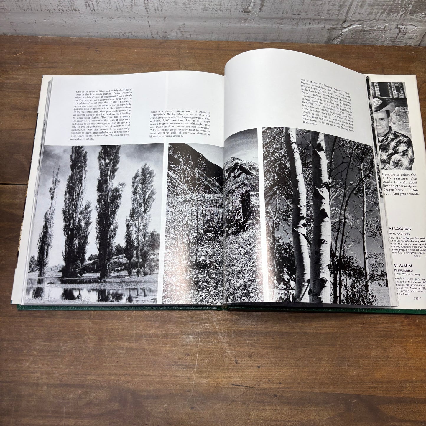 Historic Glimpses of Trees of the West: A Journey with Lambert Florin