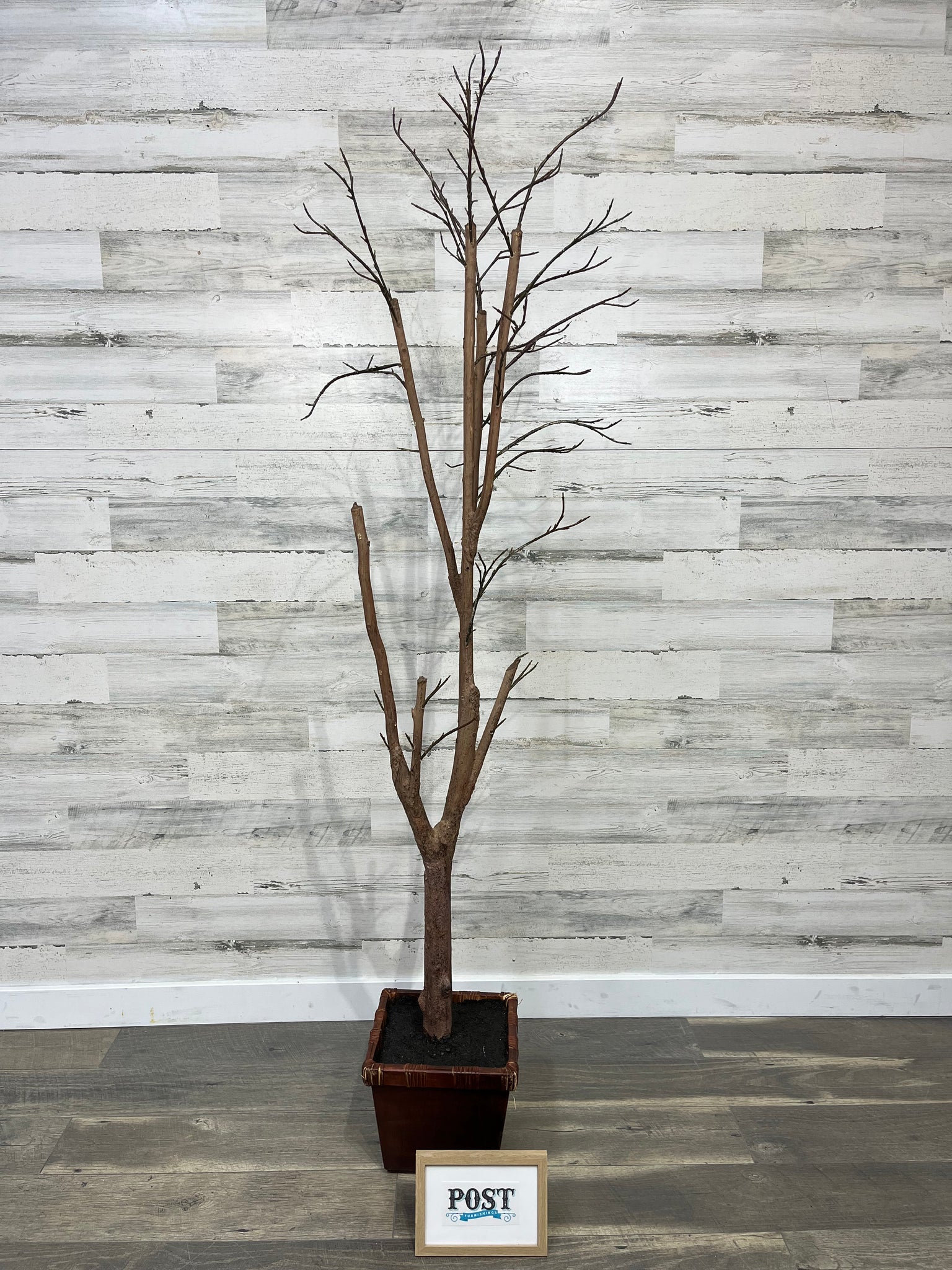 Faux Wood Tree