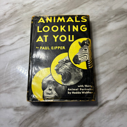 Vintage Animals Looking At You Hardcover Book