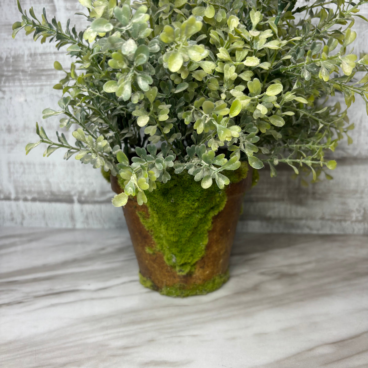 Faux Mossy Potted Greenery