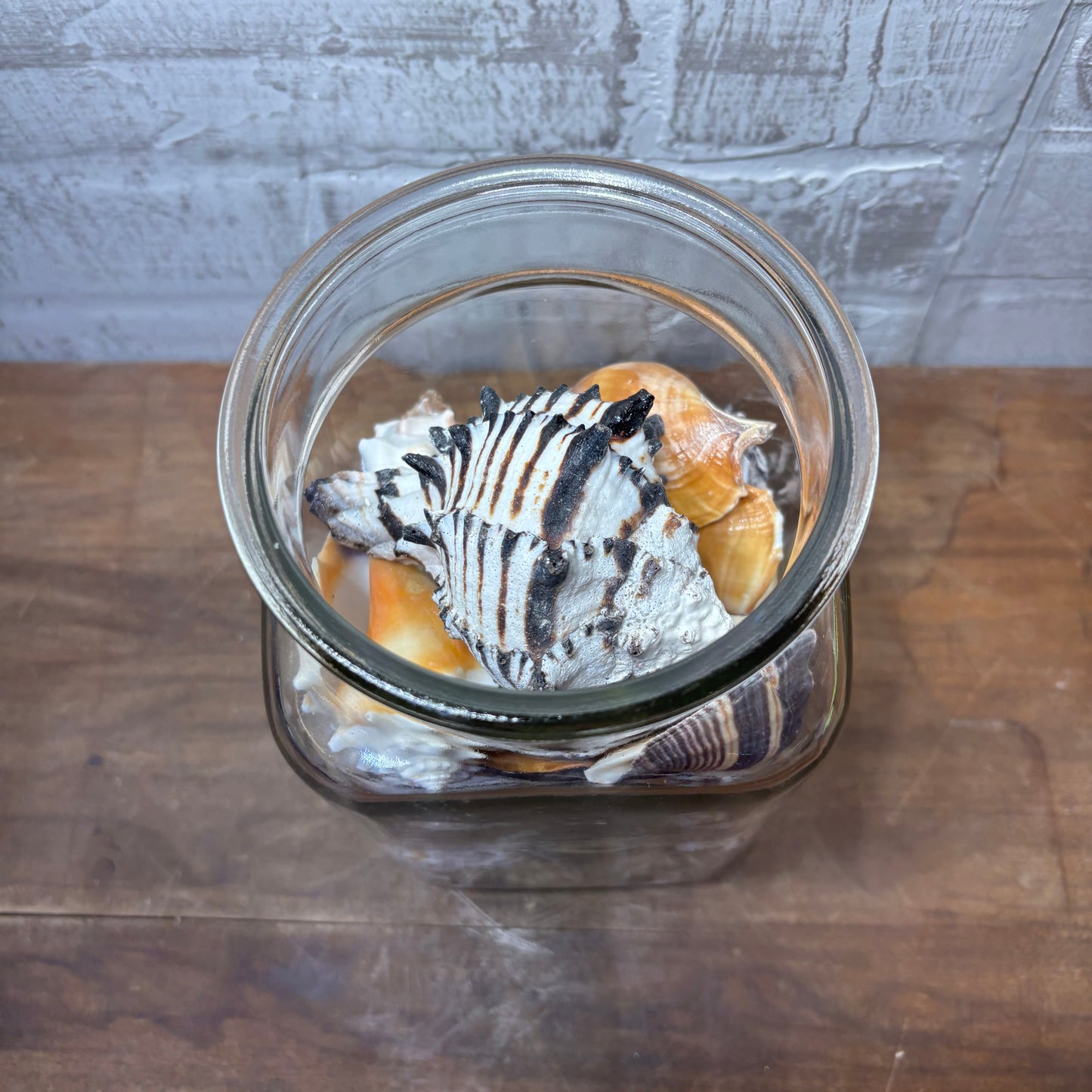 Glass Jar Full Of Seashells