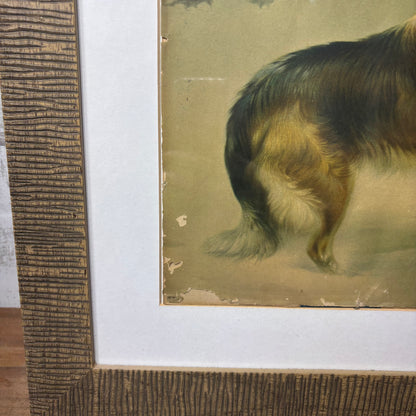 Mid Century Modem Unique Lassie Collie “Shepherds Call” Framed Art