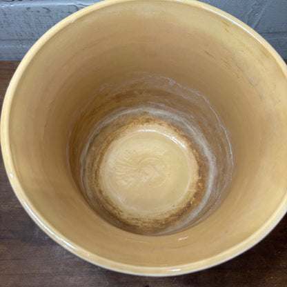 Terracotta Westwood Beige Pot