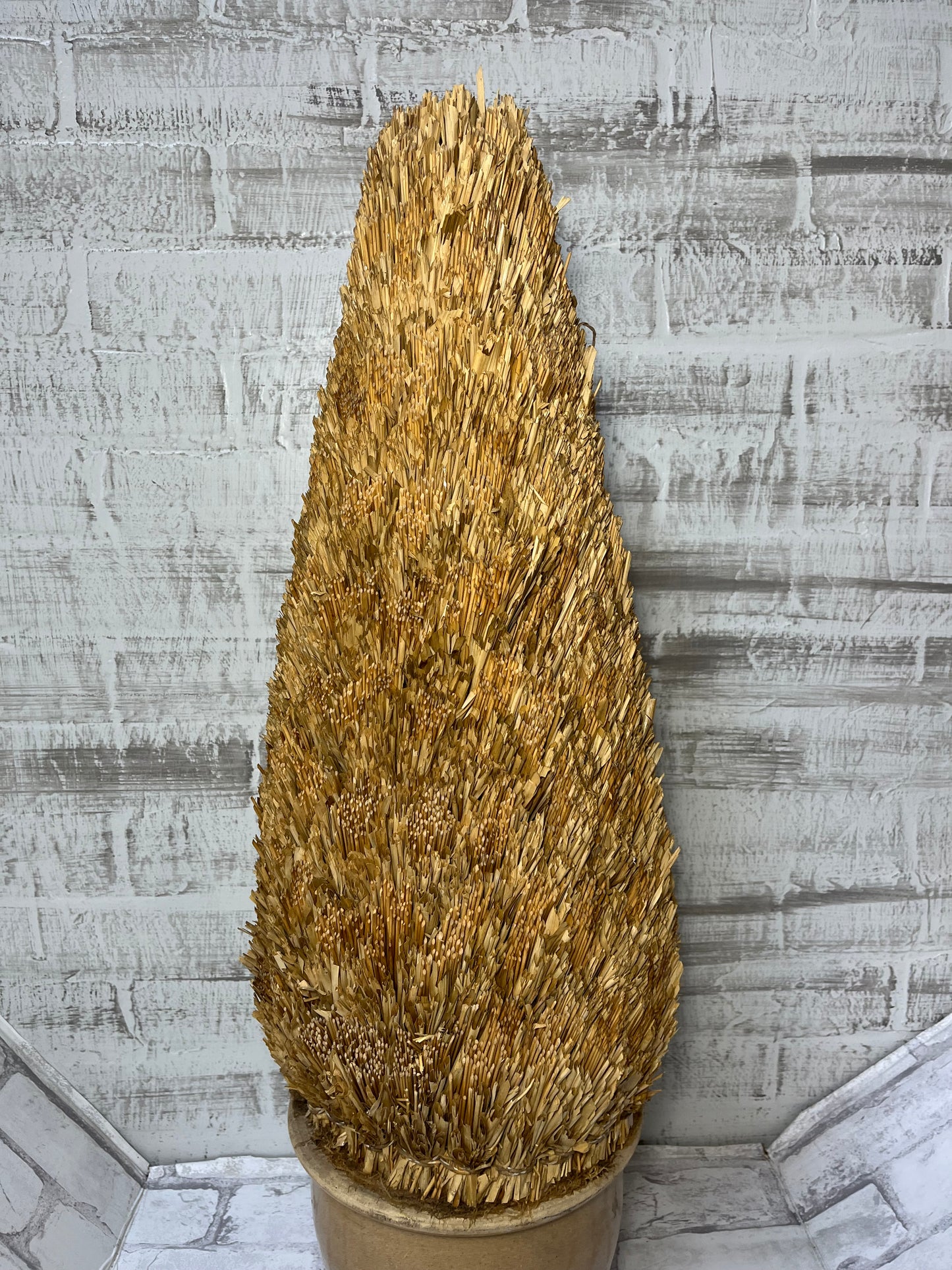 Straw Tree Shrub In Clay Planter