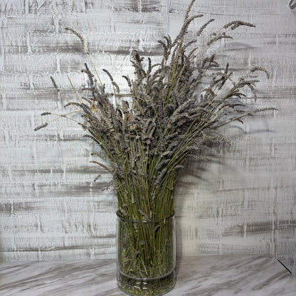 Dried Lavender Bunch In Vase