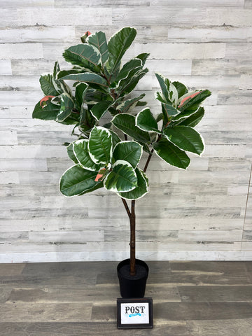 Faux Fiddle Leaf Tree